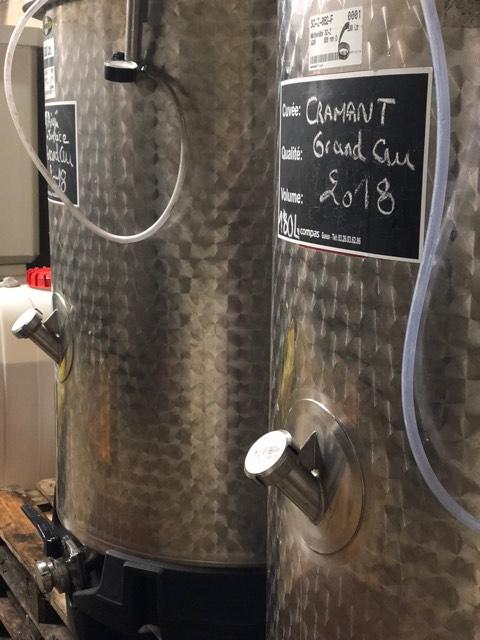 Champagne grand cru Cramant