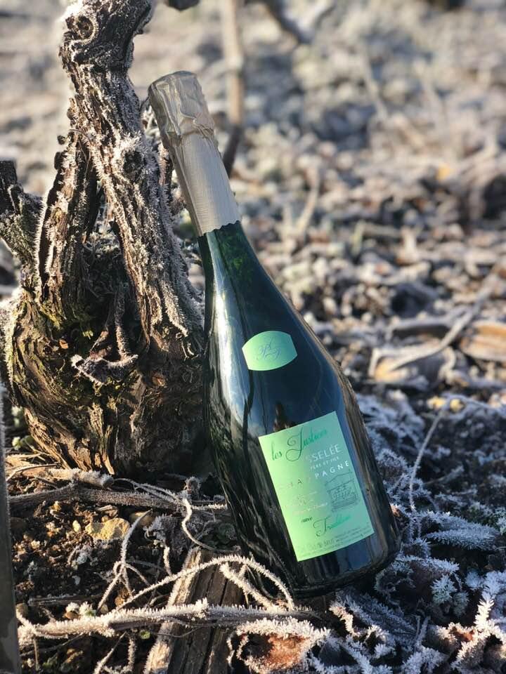 Champagne millésime Épernay
