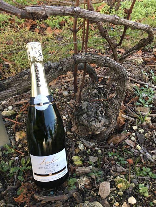 Champagne millésime Épernay